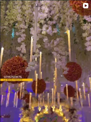 Décoration florale avec compositions suspendues et éclairage de réception